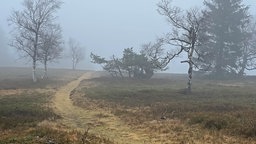 Wild-Wetter-Wandern im Sauerland