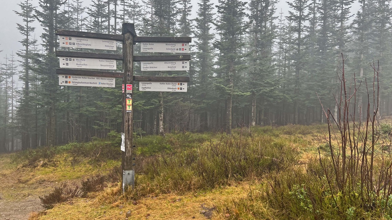 Strecken für eine Wild-Wetter-Wanderung im Sauerland