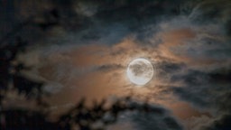  Vollmond bei bewölktem Himmel