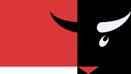 Logo Salzburger Stier