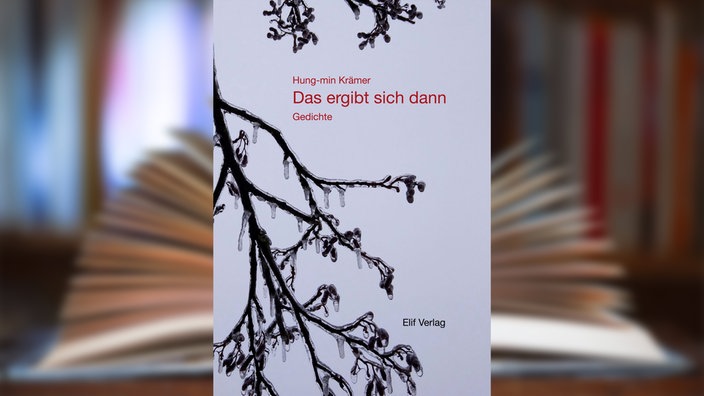 Buchcover: "Das ergibt sich dann" von Hung-min Krämer