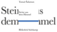 Buchcover: "Steine aus dem Himmel" von Tomaž Šalamun