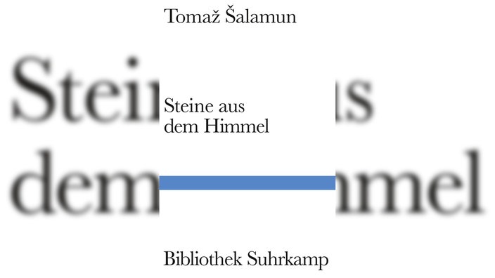 Buchcover: "Steine aus dem Himmel" von Tomaž Šalamun