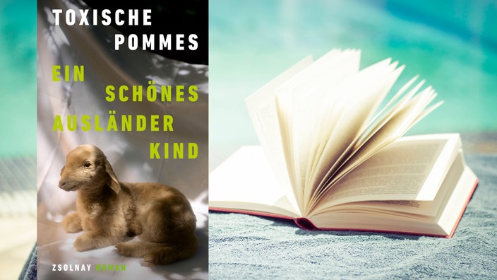 Buchcover: "Ein schönes Ausländerkind" von Toxische Pommes