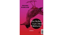 Buchcover: "Ein Sohn von zwei Müttern" von Franz Dobler