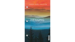 Buchcover: "Heilung" von Timon Karl Kaleyta