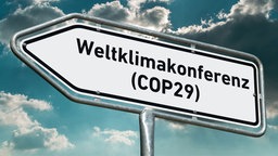 Wegweiser mit der Aufschrift "Weltklimakonferenz (COP29)" vor einem surreal, grünblau verfärbten Himmel mit grauen Wolken und einigen durchbrechenden Sonnenstrahlen.