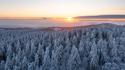 Sonnenaufgang über einer verschneiten Landschaft im Hochtaunus