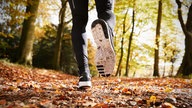 Jogger während einer Laufrunde durch den Wald. 