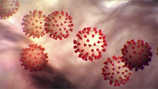 Coronavirus 