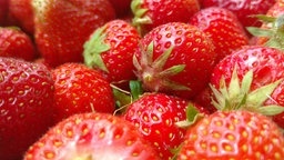 Erdbeeren