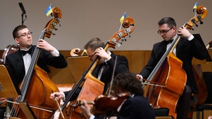 Fahnen der Ukraine stecken während eines Konzerts des Kyiv Symphony Orchestras im Dresdner Kulturpalast an den Instrumenten der Musiker. Archivbild: 13.01.2023