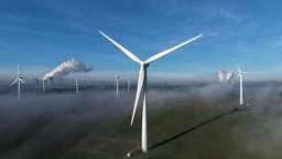 Windräder auf einem Feld bei Bergheim