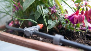 Bewässerungssystem in einem Blumenkasten auf einem Balkon.