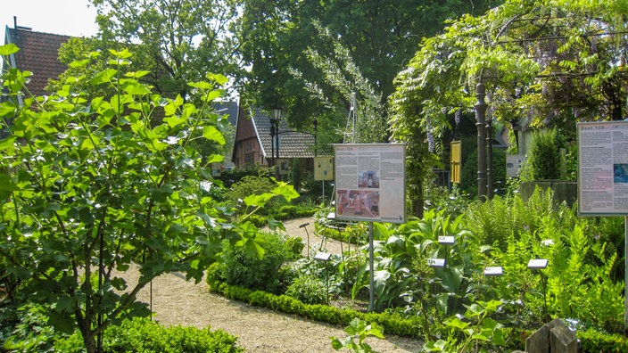 Apothekergarten in Borken