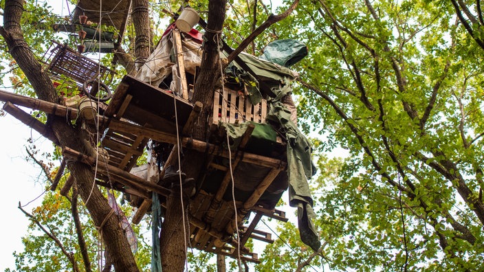 Baumhaus im Hambacher Forst