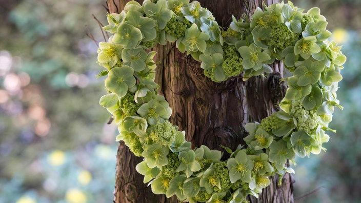 Herz aus Christrosenblüten