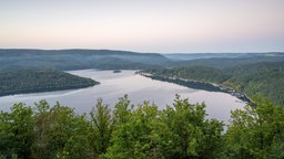 Ein Panoramabild der Landschaft im Nationalpark Eifel zeigt einen von Wald umrundeten See.