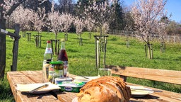 Picknickplätze laden zum Verweilen ein.