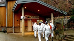 Mehrere Menschen mit Schutzkleidung auf dem Weg in die Kluterthöhle. 