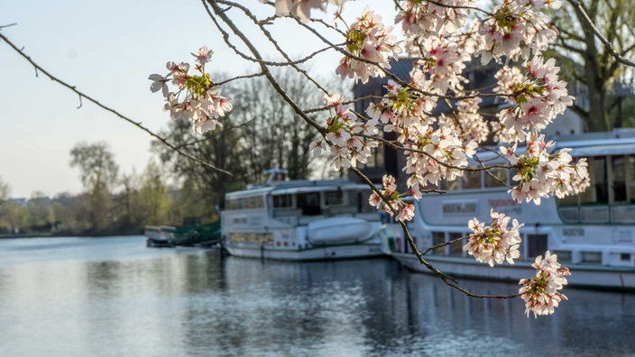 Service Ausflug Mülheim an der Ruhr