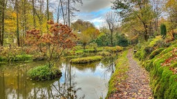 Ein See in einem Park.