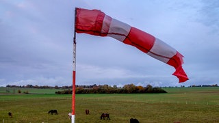 Windfahne vor Wiese mit Tieren