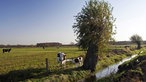 Naturschutzgebiet Dingdener Heide