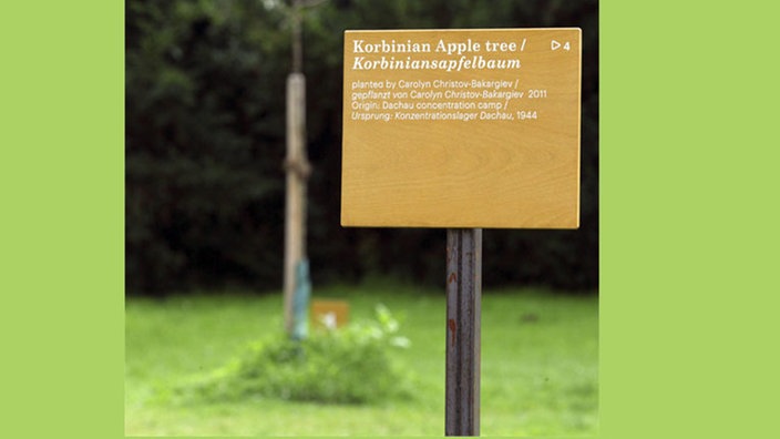 Der Korbiniansapfelbaum