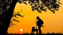 Jäger mit Hund im Sonnenuntergang