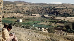 Bepflanztes Gebiet in Eritrea, 1987