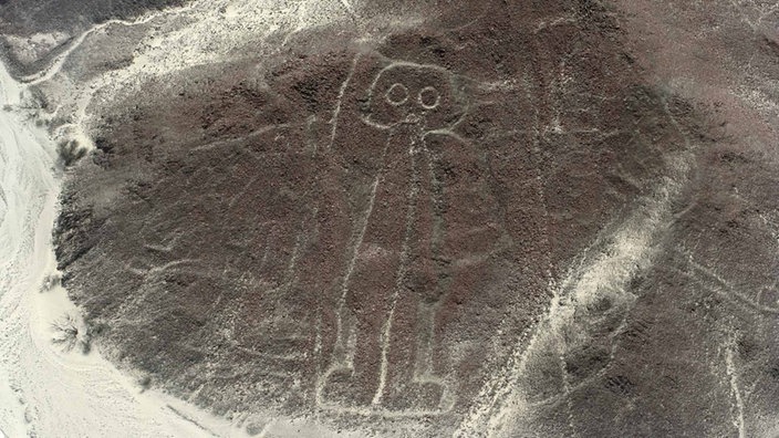 Nasca Linie