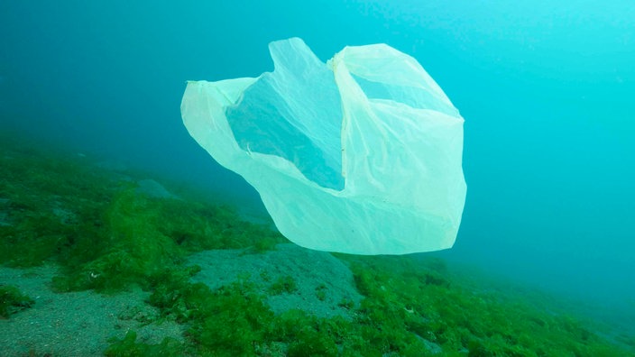 Eine Platiktüte treibt unter Wasser