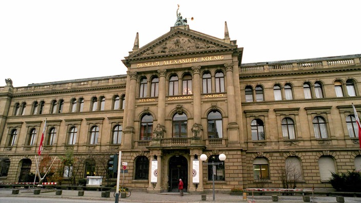 Museum Alexander König in Bonn