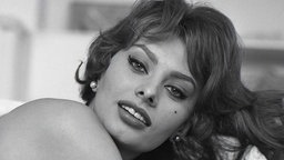 Sophia Loren