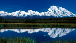 Blick auf den Mount McKinley (6194 Meter) im Denali Nationalpark, den höchsten Berg Nordamerikas. Der 1917 gegründete Park ist bekannt für seine Grizzlybären, Karibus und Wölfe. Undatiert.