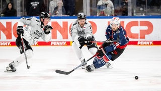 Spielszene beim Spiel zwischen den Nürnberg Ice Tigers und den Kölner Haien