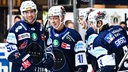 Shane Gersich, Zach Osburn, Sven Ziegler und Jake Virtanen bejubeln ein Tor im Test gegen den EC Bad Nauheim.