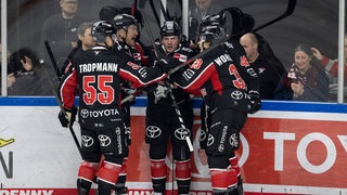 Die Kölner Haie feiern einen Treffer gegen die Eisbären Berlin