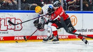 Dominik Uher von den Fischtown Pinguins im Duell mit Robin van Calster von den Kölner Haien.