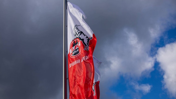 Vereinsfahnen vor dem Geißbockheim 1. FC Köln