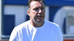 Marc Wilmots, Sportdirektor des FC Schalke 04