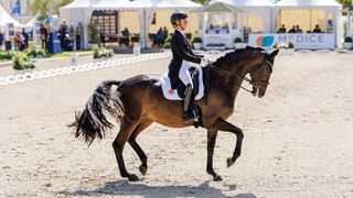 Dressurreiterin Jessica von Bredow-Werndl auf ihrem Pferd Dalera bei der DM in Balve.