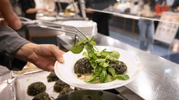 Teller mit Spinatknödel auf Pilzragout mit Feldsalat