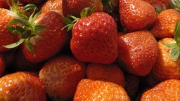 Erdbeeren