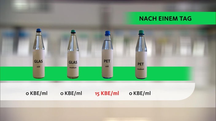 Grafik: Bakterienbelastung in verschiedenen Wasserflaschen einen Tag nach Öffnung der Flasche.