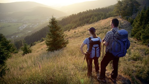 Das Bild zeigt zwei Wanderer auf dem Rothaarsteig im Sauerland.