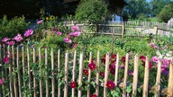 Gartengeheimnis Bauerngarten