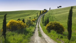 Das Bild zeigt: Eine Straße in der Toskana. 