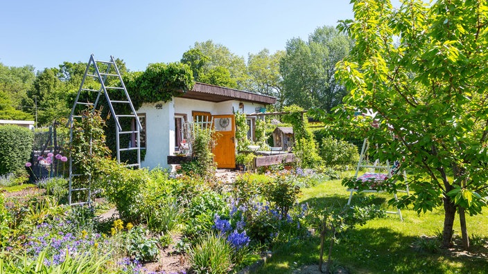 Das Bild zeigt einen Schrebergarten.